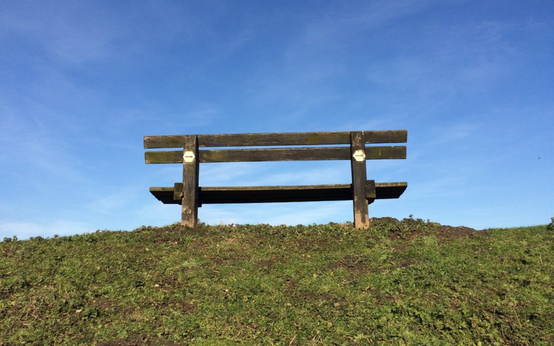 Grijs en ongelijk of groen en sociaal?